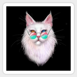 White Maine Coon Cat with Different-Colored Eyes Sticker